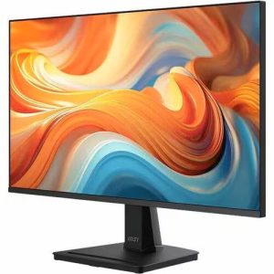 MSI LCD 25-PRO MP251 E14L
